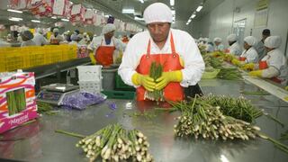 Perú busca nuevos mercados en Asia y Oceanía