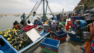 Gobierno amplía plazo para formalizar pesca artesanal hasta 31 de julio del 2022