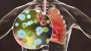¿Cómo funciona nuestro sistema inmunitario frente al COVID-19? [VIDEO]