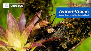 Reserva Avireri-Vraem fue declarada como nueva Reserva de Biosfera de la UNESCO