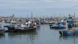 Sector pesca habría registrado un crecimiento del 68% durante el 2018