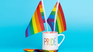 Voto por la igualdad: ‘No hay propuestas en Lima a favor de la comunidad LGBTI ‘, según Promsex