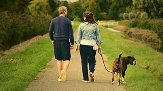 Salud: ¿Cómo beneficia pasear a tu perro?
