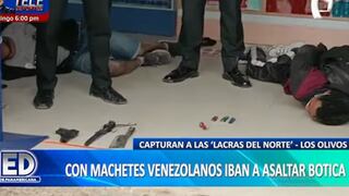 Los Olivos: capturan a delincuentes que pretendían asaltar botica con armas y machetes