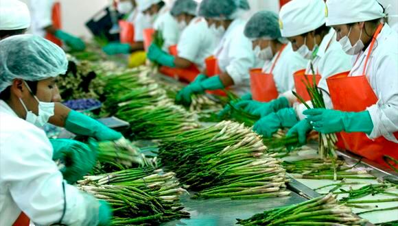 "Las exportaciones agrícolas de Perú representan un indicador de progreso económico y social en el país".