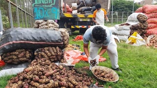 Municipalidad de Lima trasladó 190 toneladas de comida a 8 distritos con el Mercado Mayorista Móvil
