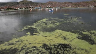 Consorcio Fypasa se adjudicó buena pro del proyecto PTAR Titicaca y favorecerá la descontaminación