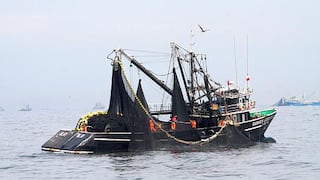 Desembarques de anchoveta superan en 63% al promedio de los últimos tres años