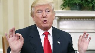 Donald Trump calificó como “una ridiculez” y “una estafa” recuento de votos del Partido Verde