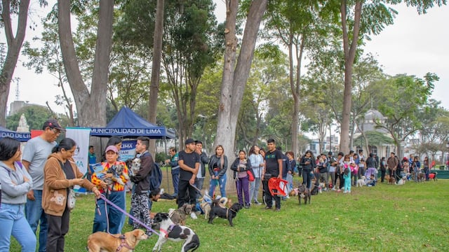 ¡Participa en Convet Fest! El principal festival para mascotas gratuito en el Perú