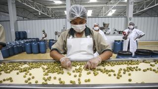 Perú se ubica como séptimo proveedor mundial de aceituna de mesa, según la CCL