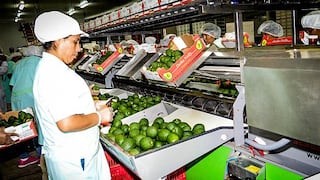 Perú cuenta con 252 productos con potencial exportador no aprovechados