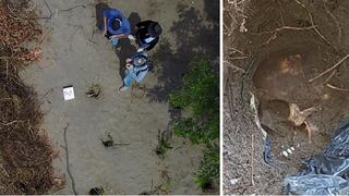 ¡De terror! Encuentran en México fosas comunes con 166 cadáveres dentro [FOTOS]