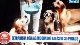 Maltrato animal: Extranjera habría abandonado a 32 perritos con discapacidad en Cieneguilla