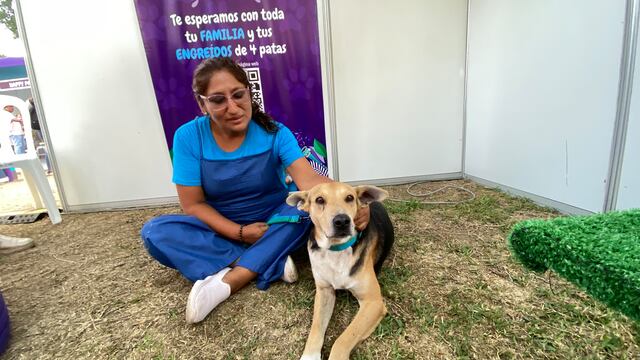 ‘Vaguito’, perro estrella del cine peruano, se fotografió con sus fans: Todos los detalles del evento [VIDEO]