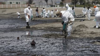 A un mes del derrame de petróleo en Ventanilla: multas a Repsol, cambios de ministros, fauna en peligro y avances