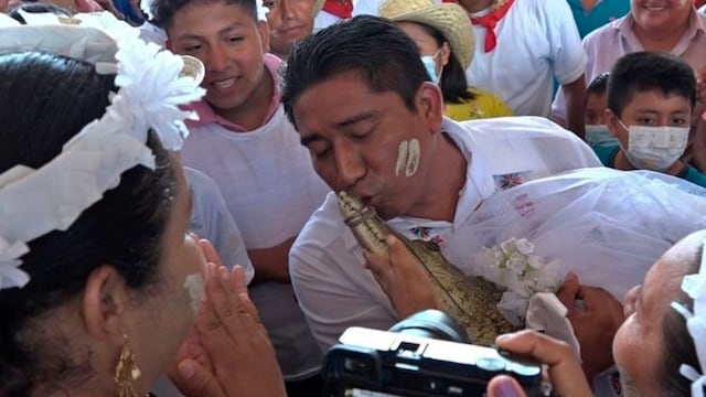 México: Alcalde contrae matrimonio con un caimán para traer buena fortuna