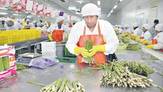 Minagri señala que agroexportaciones crecieron 9.6% en 2016