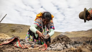 Mujeres de zonas rurales aportan más de la mitad de la producción de alimentos del Perú