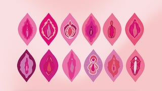 Crean el ‘Día de la vulva’ para impulsar el autodescubrimiento femenino
