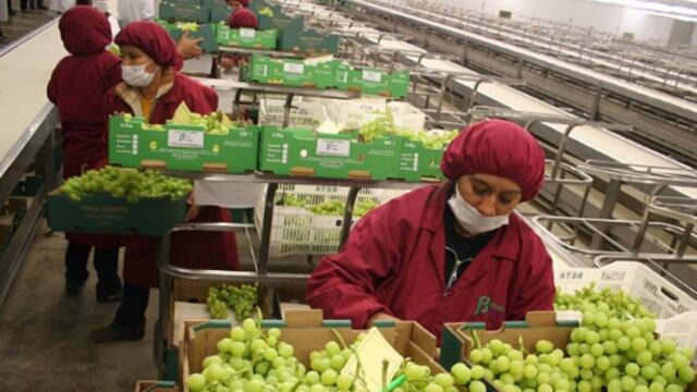 Exportaciones peruanas generaron más de 375,000 puestos de trabajo en enero