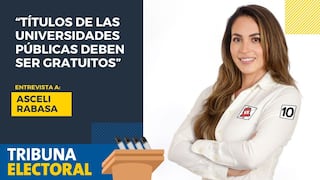 Asceli Rabasa candidata al congreso por Victoria Nacional