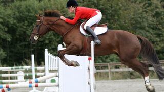 Senasa asegura la sanidad de 141 caballos para la competencia de los Juegos Panamericanos 2019