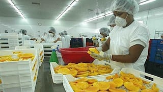 APEM: Exportación total de mango peruano crecería 30% si se envía a China