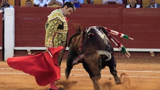 Líder del tercer partido español sugiere referéndum sobre corridas de toros