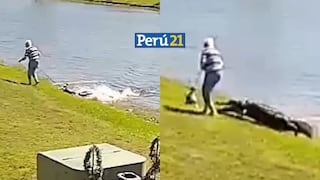 Florida: Cámara de seguridad capta momento en que caimán asesina a anciana que paseaba a su perro | VIDEO