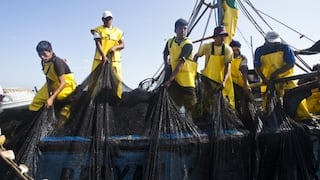 SBS: Pescadores podrán aportar a las AFP