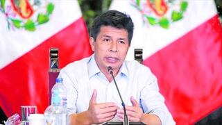 Pedro Castillo agradece a presidente de Argentina por su preocupación ante proceso de vacancia