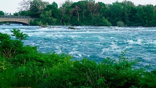 Mujer muere ahogada tras intentar salvar a su hijo que fue lanzado por su padre al río Niágara