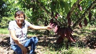 Pichari: 130 mujeres cacaoteras se convierten en empresarias exitosas