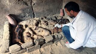 Egipto exhibe tumbas que contenían gatos momificados | FOTOS