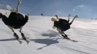 Avestruces en esquíes realizan saltos triples y otros trucos en curioso spot para Japón