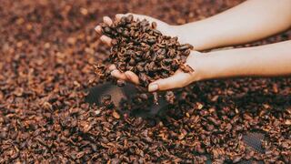 Pequeños productores envían el primer contenedor con cáscara de café orgánico a Alemania