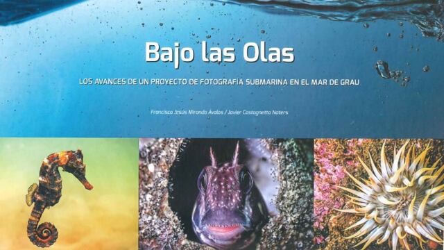 OANNES presenta libro hito con fotografías subacuáticas de la biodiversidad marina del Perú