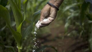 Midagri destinará S/ 900 millones para compra de fertilizantes y atender a agricultores