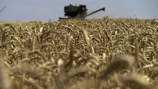 Rusia reanudará su participación en el acuerdo de exportación de cereales ucranianos
