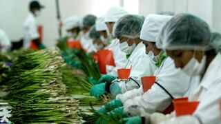 Producción agrícola en riesgo: advierten que crisis alimentaria podría agravarse