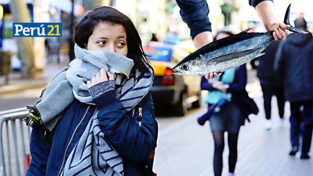 ¿Por qué un desagradable ‘olor a pescado’ invade Lima y Callao? Esta es la respuesta