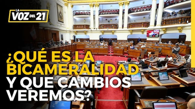 Domingo García Belaunde: “Cámara única se atora en su trabajo, por eso el Congreso es tan demorón”