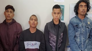 Tacna: Detienen a cuatro personas con 2 kilos de cocaína y 27 kilos de marihuana en ‘panetones’