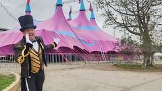 El Circo Rousell cumple 50 años