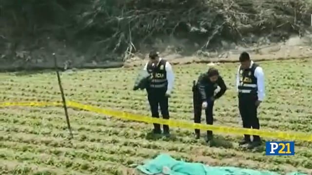 Carabayllo: Hallan cadáver de un hombre en una chacra cerca de Canta 