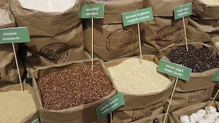 Quinua peruana será incluida en lista de 15 cereales que ingresarán a EEUU
