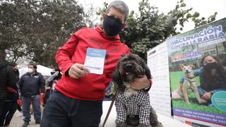 Mascotas recibieron vacuna contra la rabia con disfraces y en pijama en parque La Alborada [FOTOS]