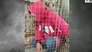Chiclayo: sorprenden a ladrón robando loros y lo encierran en la misma jaula de las aves | VIDEO 