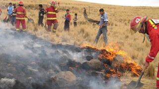 Puno: Incendio arrasa casas y terrenos forrajeros